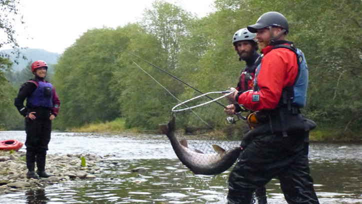 Salmon fishing on the north fork of the nehalem