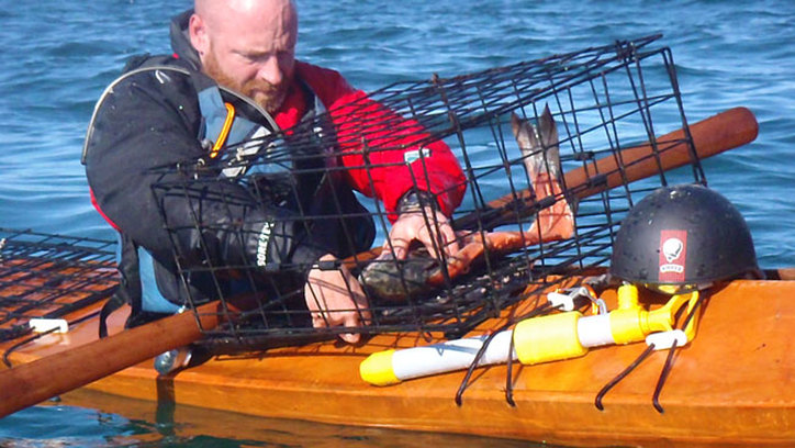 Setting crab traps in an F1