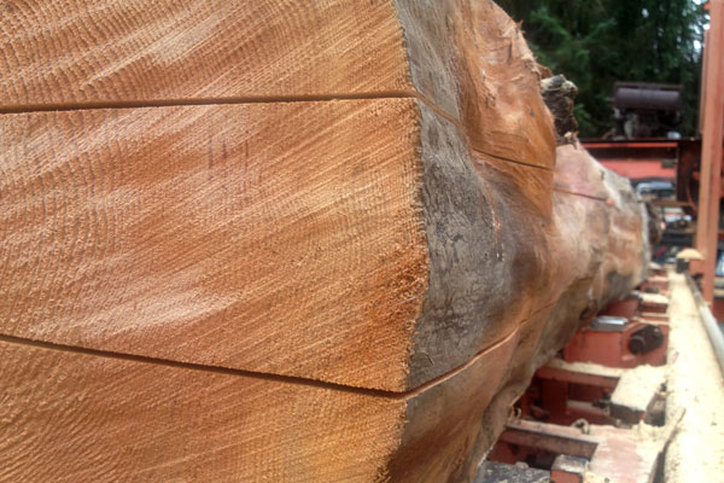 Chainsaw milling salvaged logs
