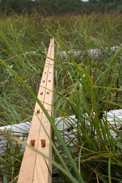 traditional kayak building hand-drilled mortises