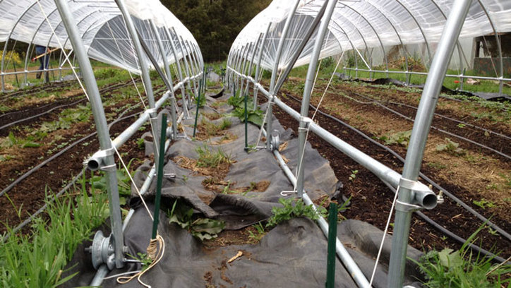 our off-grid organic farm
